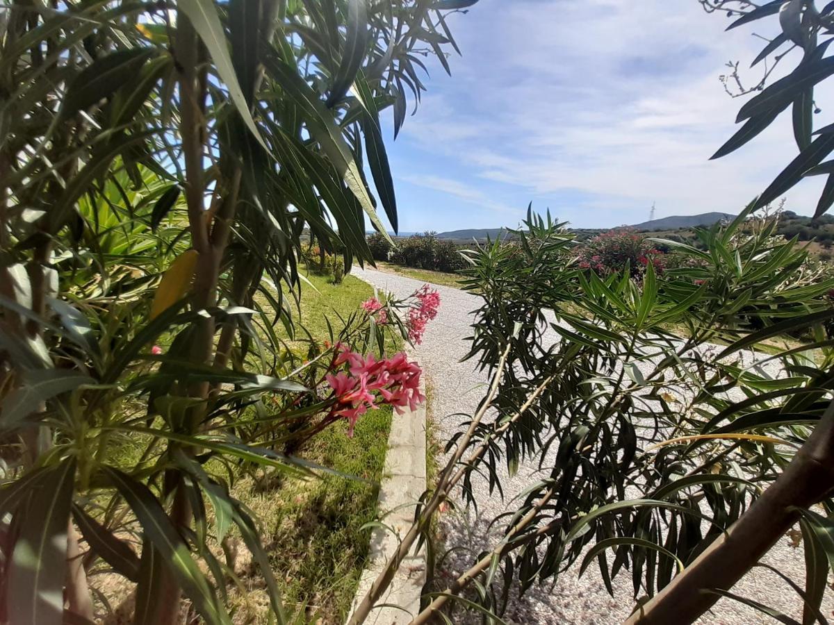 Bed and Breakfast Sole&Sale San Teodoro  Exterior foto